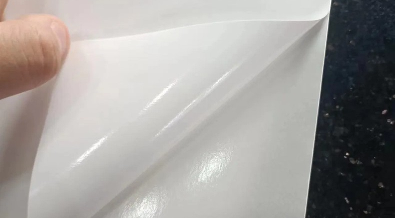 PE Poly Coated Paper Manufacturer | Akshar CoPack LLC